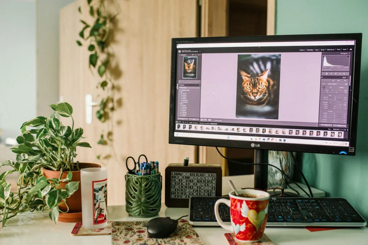 Postprodukcja zdjęć w Lightroom na komputerze