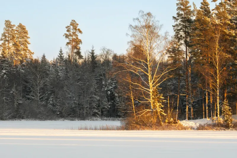 Różne temperatury barwowe światła w fotografii