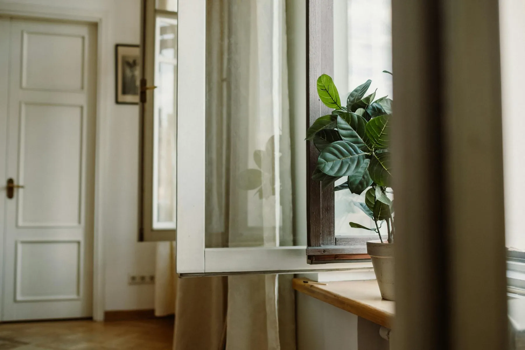 Światło naturalne w fotografii — golden hour, okno północne