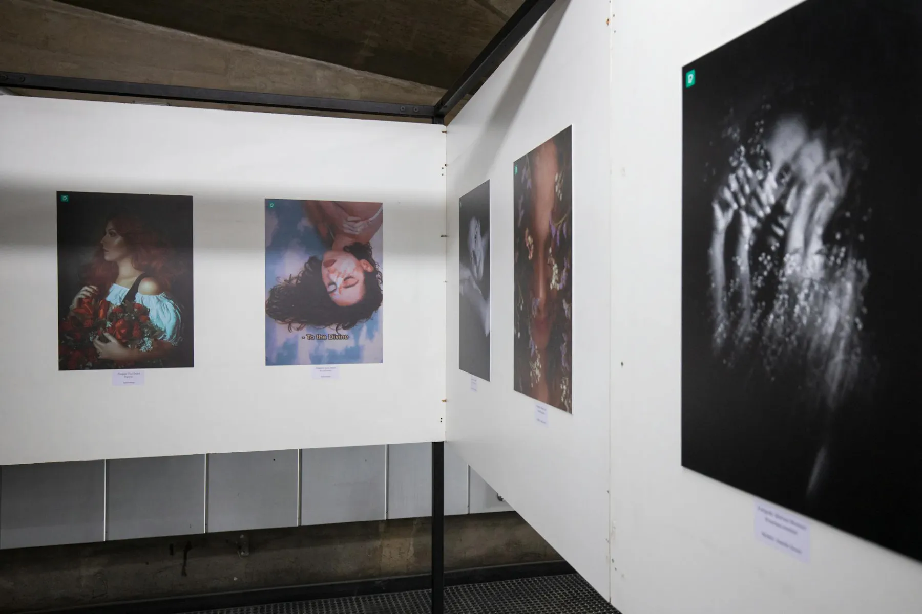 Wystawa fotograficzna 2026 — jak zorganizować + top festiwale